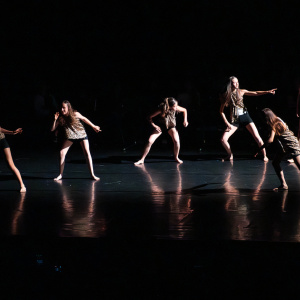 Spectacle-CHA-2026(c)lephotographeambulant-008